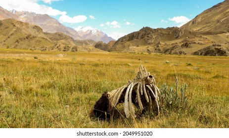 Broghil valley, Chitral,Pakistan -September 02,2021: Animal ribcage showing the wild nature of Broghil valley, Pakistan.