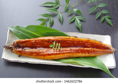 The Broiled Eel Which Got On A White Dish