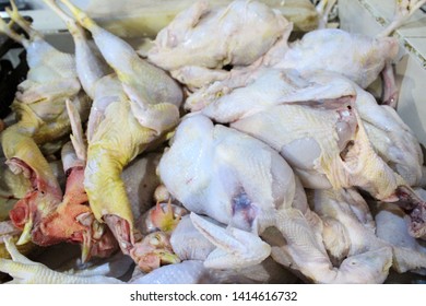 Ayam Potong Images Stock Photos Vectors Shutterstock