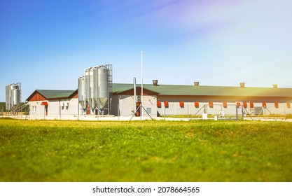 Broiler chicken breeding factory in countryside.