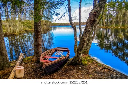 Broken boat on the bank of a forest river