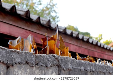 Alambre de vidrio para botellas rotas en Tailandia