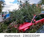 Broken branch due to strong wind. Tree branch on the ground due to the storm. Hurricane force. Damage. Tropical. Cyclone. Wind. Hurricane. Cyclone. Storm. 2024. Dorothea. Enol. Chido. Mayotte. France.