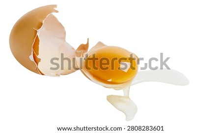 Broken brown chicken egg with raw yolk and clear albumen spilling out