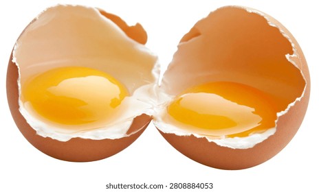 Broken brown chicken egg with two yolks inside shell halves
