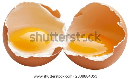 Broken brown chicken egg with two yolks inside shell halves