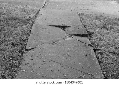 Broken And Buckled Sidewalk.