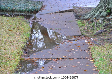 Broken And Buckled Sidewalk.