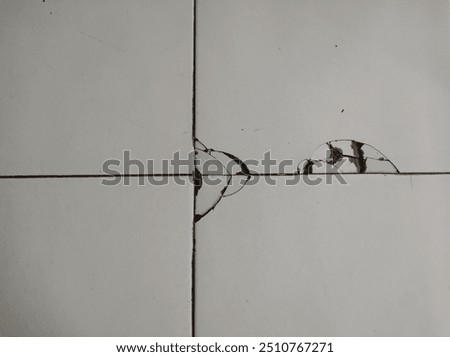 Broken ceramic floor. Create a pattern of two unconnected fragments. Right in the corners and in the middle.