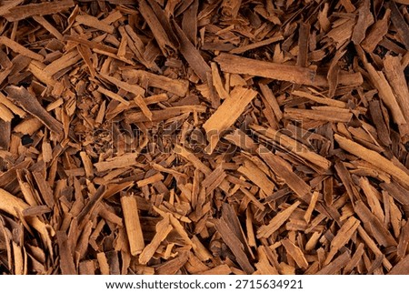 Broken ceylon cinnamon macro texture, cinnamomum verum bark pieces pattern, macro zeylanicum bg, real original cinnamon sticks wallpaper, dry crumbled brown bark background close up