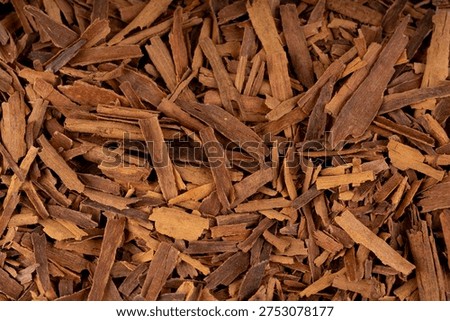 Broken ceylon cinnamon macro texture, cinnamomum verum bark pieces pattern, macro zeylanicum bg, real original cinnamon sticks wallpaper, dry crumbled brown bark background close up
