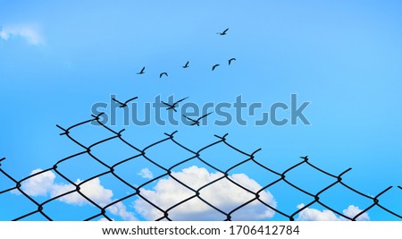 Broken Chainlink Fence with Bright Blue Sky and Birds Flying, Fight for Better Life concept, Think out of the box and Free your mind concept