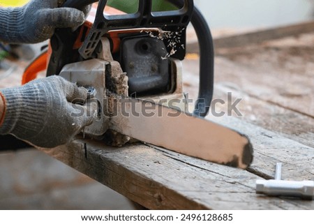 Similar – Image, Stock Photo Motor chainsaw placed on fresh sawn trunk, log of wood on ground