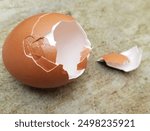 Broken chicken egg shells on cement floor. Empty chicken egg.