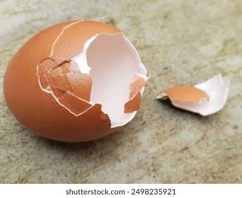 Broken chicken egg shells on cement floor. Empty chicken egg. - Powered by Shutterstock