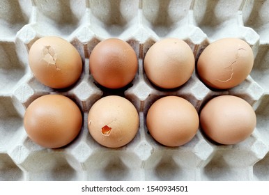 Broken Chicken Eggs In A Egg Carton.