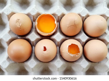 Broken Chicken Eggs With Yolk In A Egg Carton.