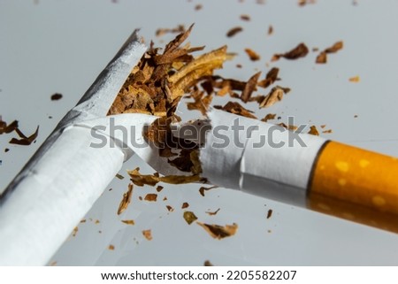 Broken cigarette fly in air on a light background. Conception of combating smoking.