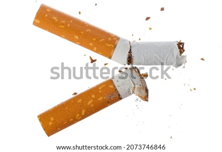 Broken cigarette isolated on white background close up