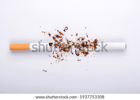 Broken cigarette on white background , World No Tobacco Day Tobacco and lung health concept .