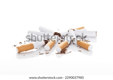 Broken cigarette on white background