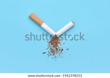 A broken cigarette with scattered tobacco for quit smoking concept.
