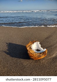 Broken coconut shell on a sandy beach with ocean waves