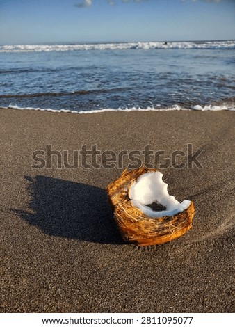 Broken coconut shell on a sandy beach with ocean waves