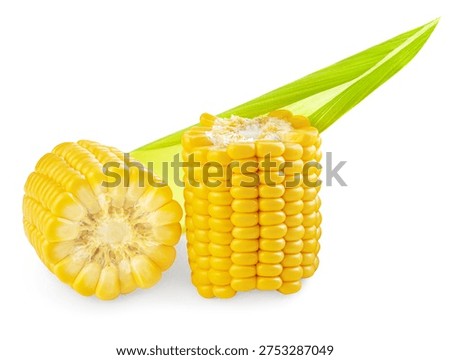 Broken Corn cobs isolated on white. Fresh  Sweetcorn cobs. Ears of sweet corn closeup