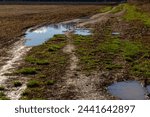 Broken country dirt road in spring mountains with lots of muddy puddles after the rain.