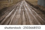 Broken country dirt road with a swamp.