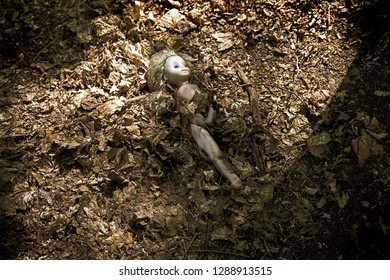 Broken Doll In Forest