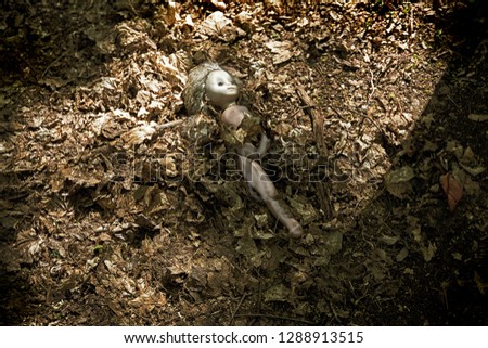 Broken doll in forest