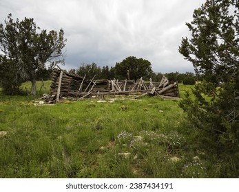 A Broken Down and Collapsed Pioneer Log Cabin Long Abandoned in a Forest of Arizona