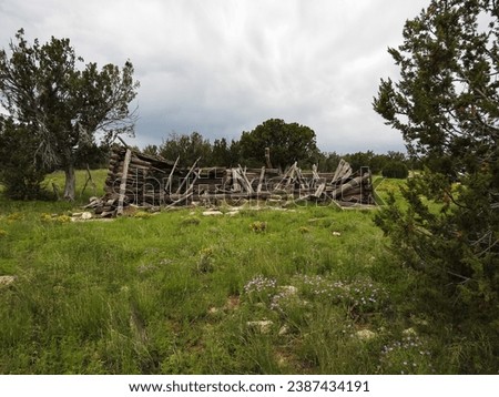 A Broken Down and Collapsed Pioneer Log Cabin Long Abandoned in a Forest of Arizona
