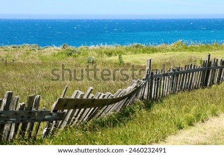 Broken down, wobbly Grape stake fence along the coast