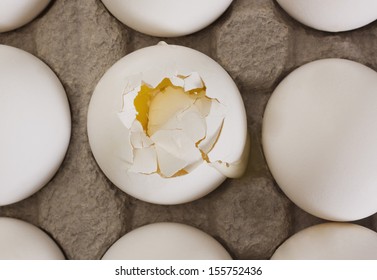 Broken Egg In A Carton With Other Eggs