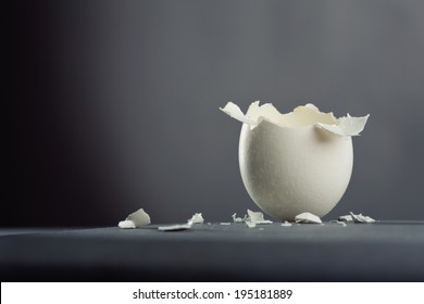 Broken Egg Isolated On Gray Background