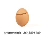 broken egg shell isolated on white background
