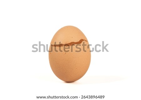 broken egg shell isolated on white background