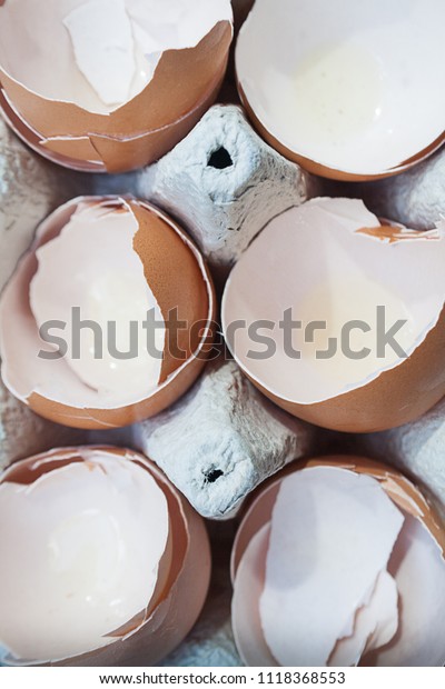 broken egg shells\
inside cardboard\
packaging