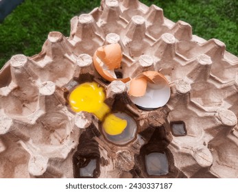 Broken eggs yoke and eggshells. Broken eggs on paper egg panel 