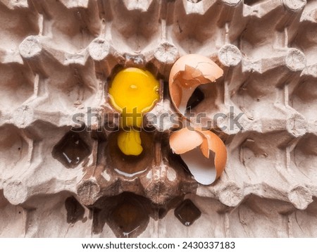 Broken eggs yoke and eggshells. Broken eggs on paper egg panel 