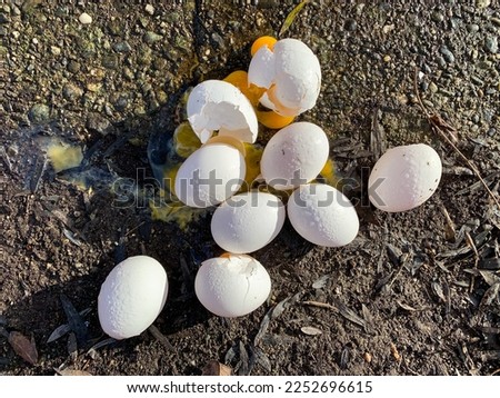 Broken eggs with yokes spilling out onto the sidewalk