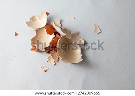 Broken Eggshell Fragility Concept Minimal