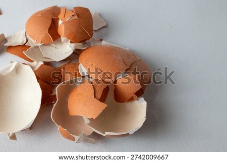 Broken Eggshell Fragility Concept Minimal