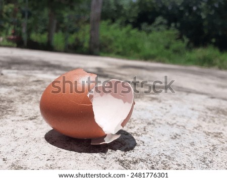 Broken eggshell on concrete floor