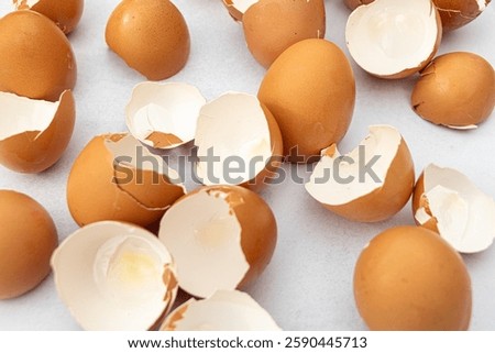 Broken eggshells - food styling - text space