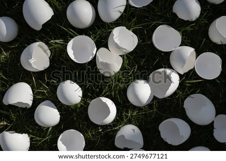 Broken eggshells on green grass symbolizing fragility and vulnerability of life.