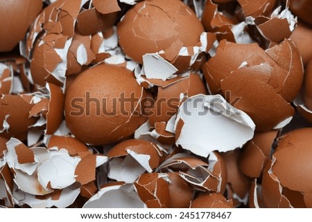 Broken eggshells scatter background . normally eggshells use as a fertilizer for plants . 
